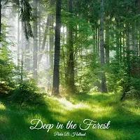 Peder B. Helland — Deep In The Forest — обложка